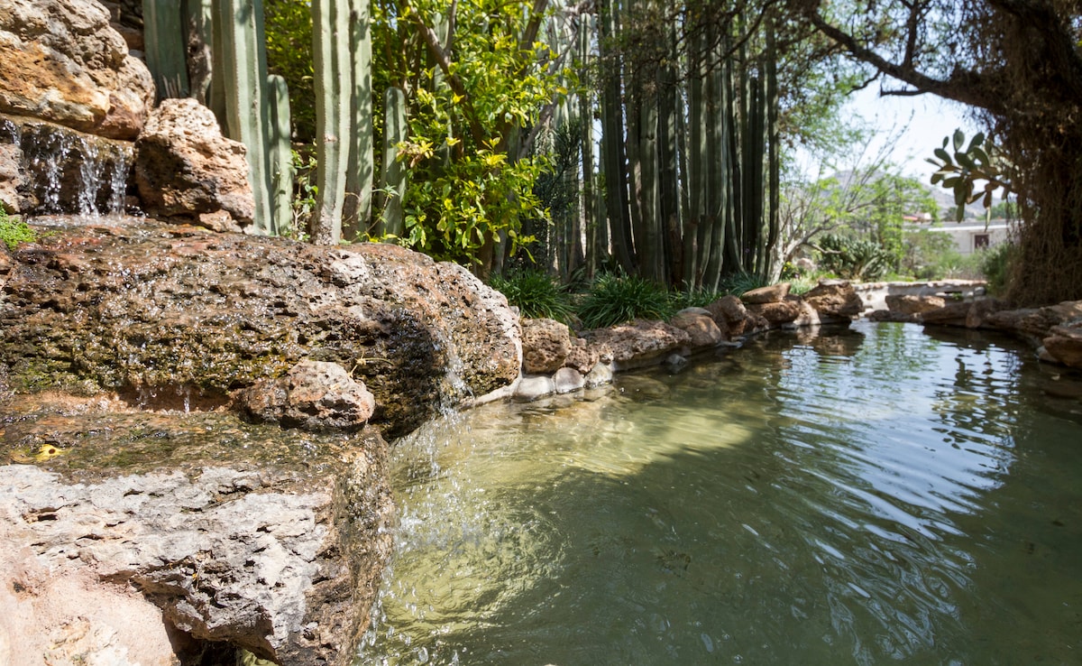 A serene water feature is shown, with gentle water cascading over natural stone. Lush greenery surrounds the area, providing a peaceful setting. The clear water reflects the sunlight, enhancing the natural landscape and inviting a tranquil atmosphere.