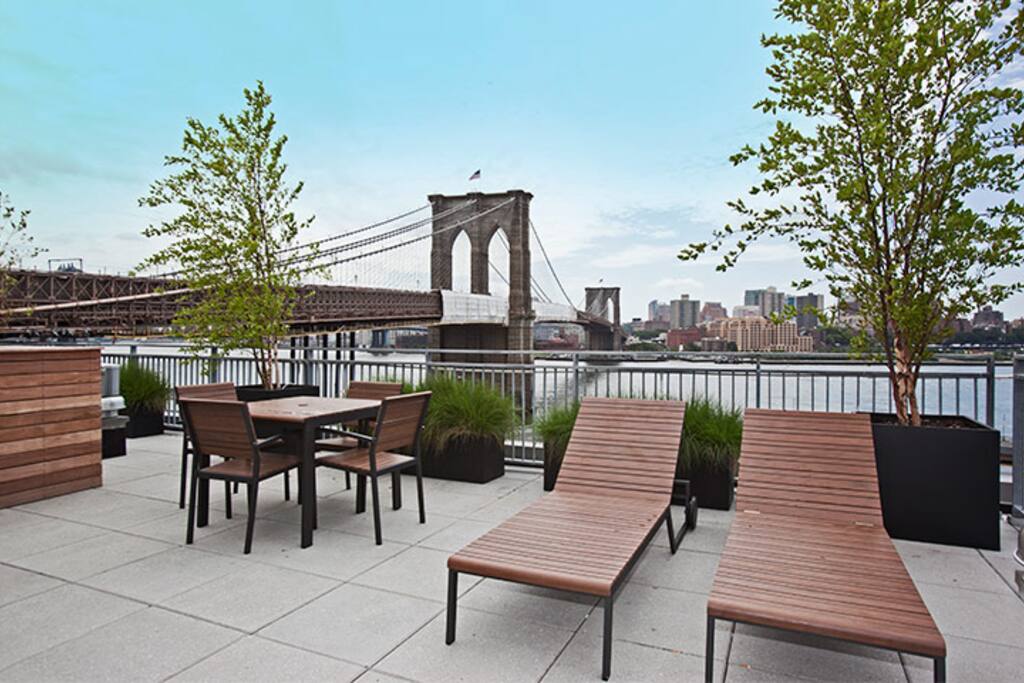 The roofdeck