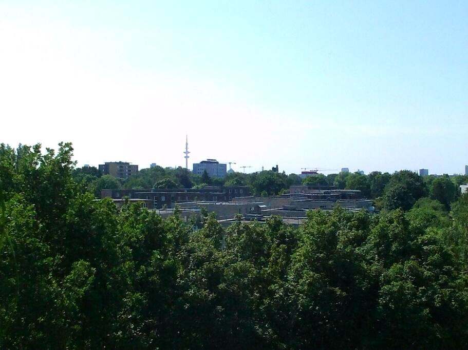 Ausblick zum Telemichel/view