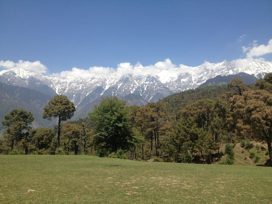Dhauladhar view