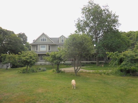 Large spacious 6 bedroom  house