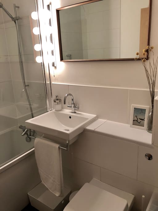 A contemporary bathroom kitted out for your needs.