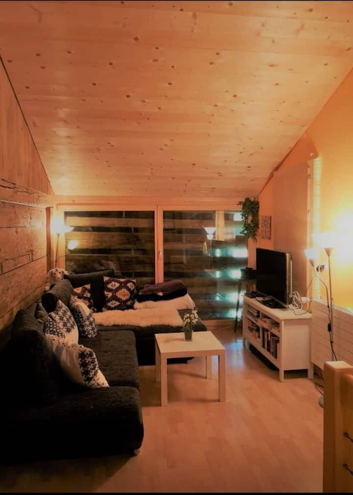 ツヴァイジンメンのアパート「アルプスの空気」、NaturPUR - 借りられるアパート - ボルティゲン、ベルン、スイス - Airbnb