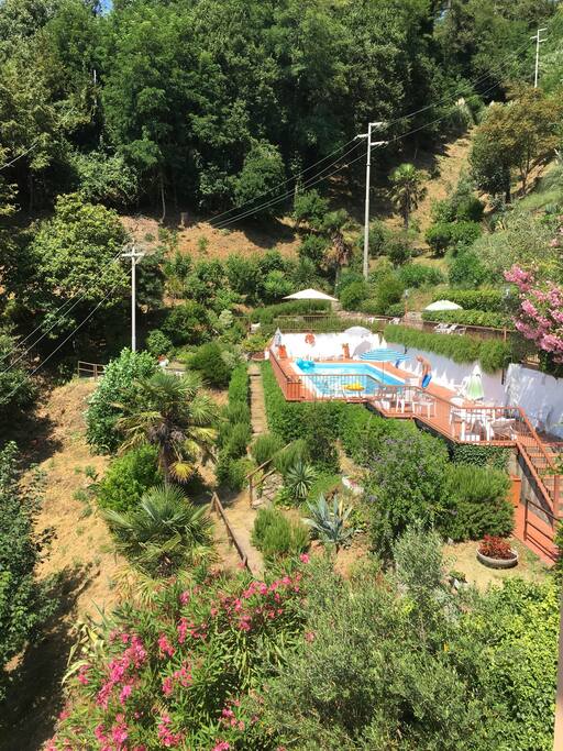 This is the view towards the pool from on part of the balcony