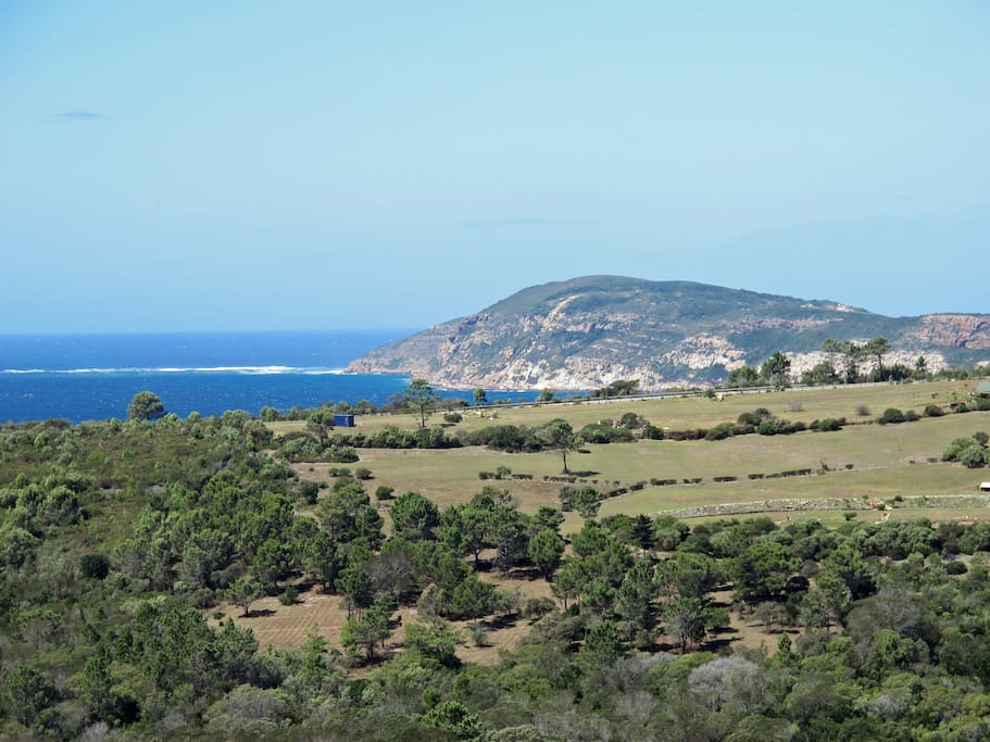 View of Robberg from the patio.