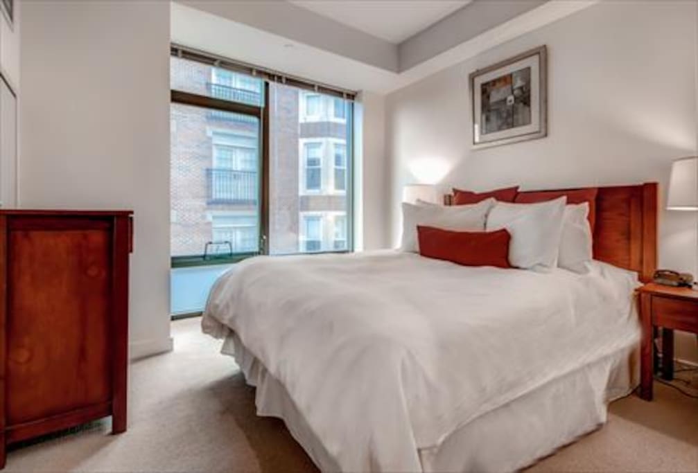 Spacious second bedroom with queen size bed and large closet