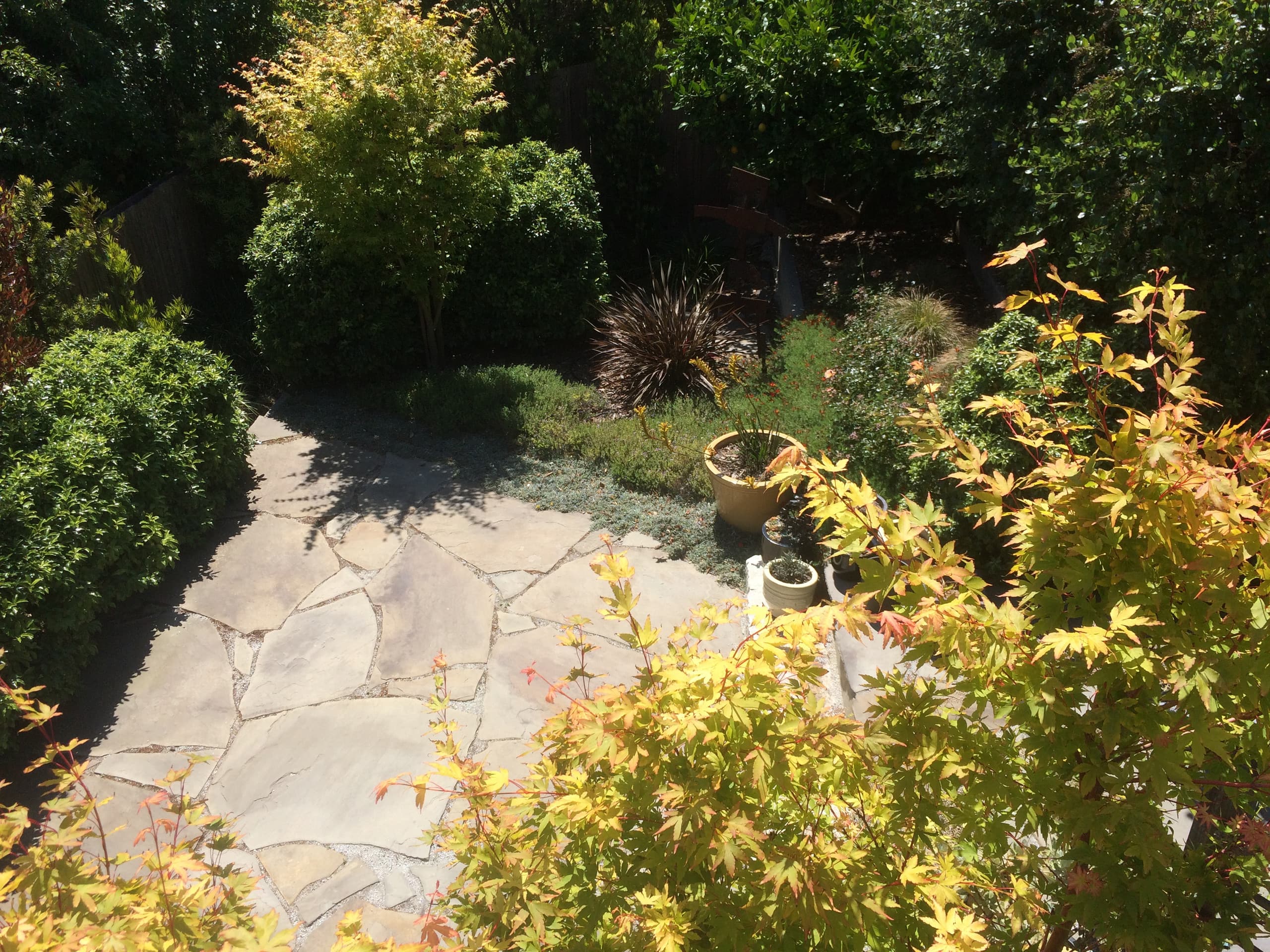 Home in San Francisco · ★4.98 · 3 bedrooms · 3 beds · 2 baths - Image 44