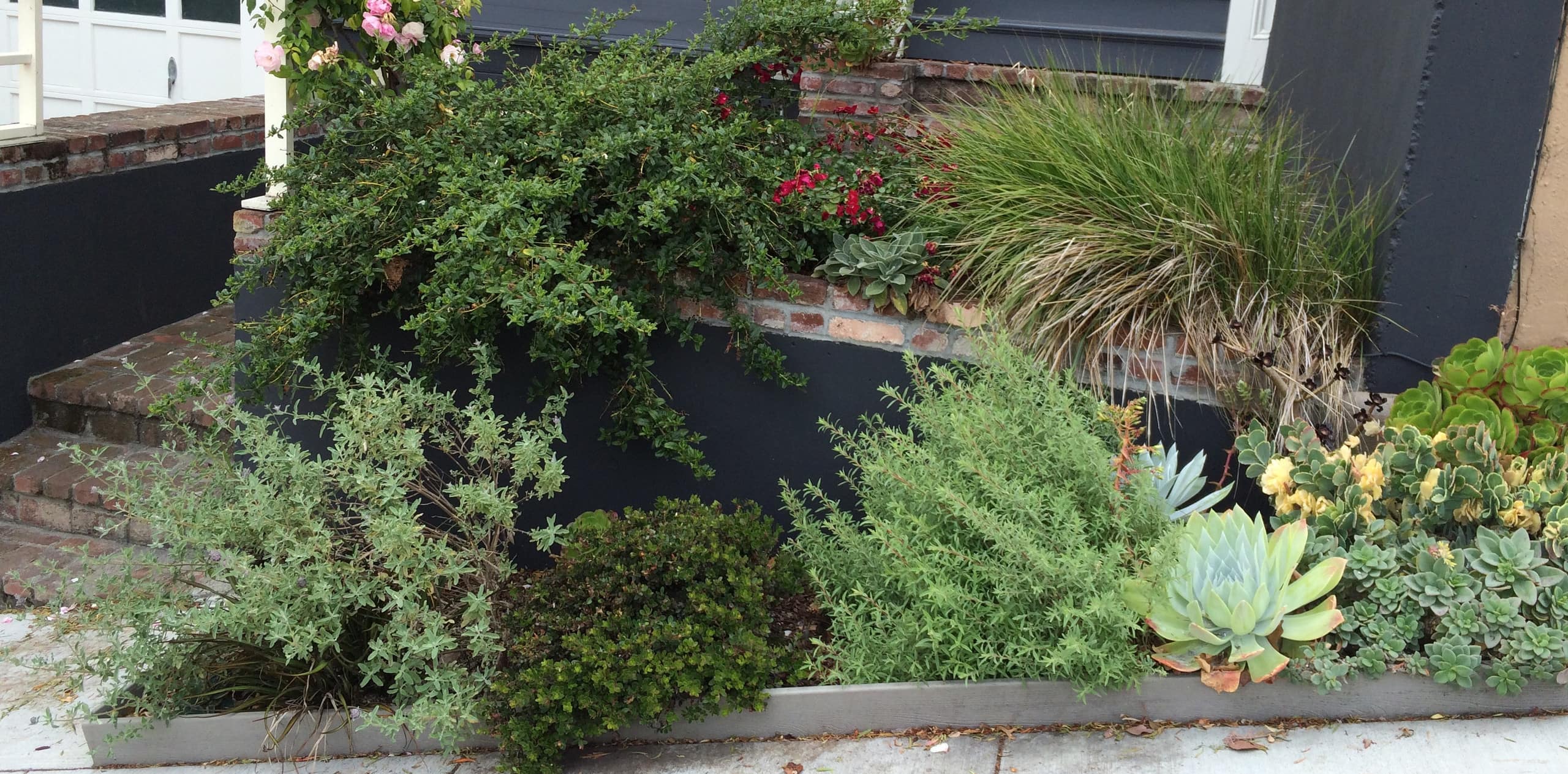 Home in San Francisco · ★4.98 · 3 bedrooms · 3 beds · 2 baths - Image 56