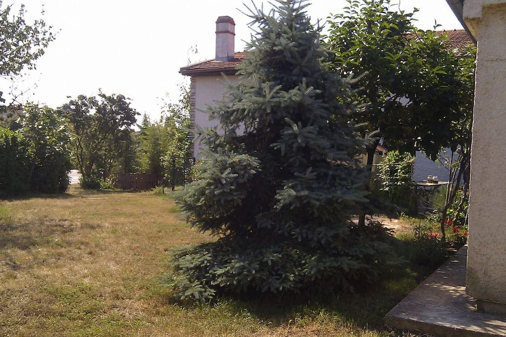 courtyard