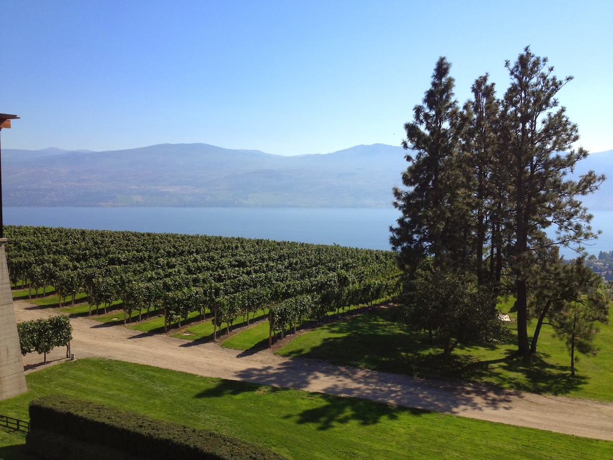 A panoramic view of lush vineyards leading to a serene lake, framed by tall trees. The clear blue sky reflects the natural beauty of the surroundings, creating a tranquil atmosphere. The well-maintained grassy area complements the landscape, inviting relaxation and appreciation of the scenery.