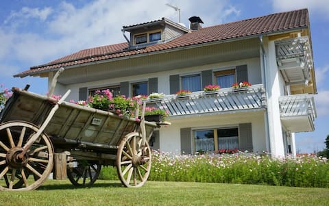 Vacation with dog in the Bavarian Forest