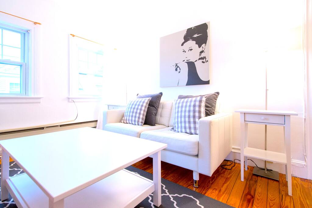 Living room w brand new modern furnishings. Warm & welcoming, a writers paradise