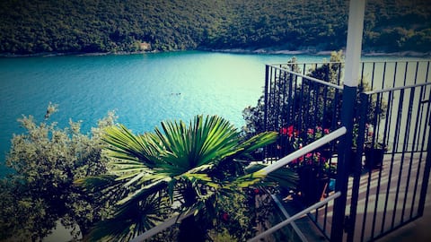 Amazing House Above the Beach