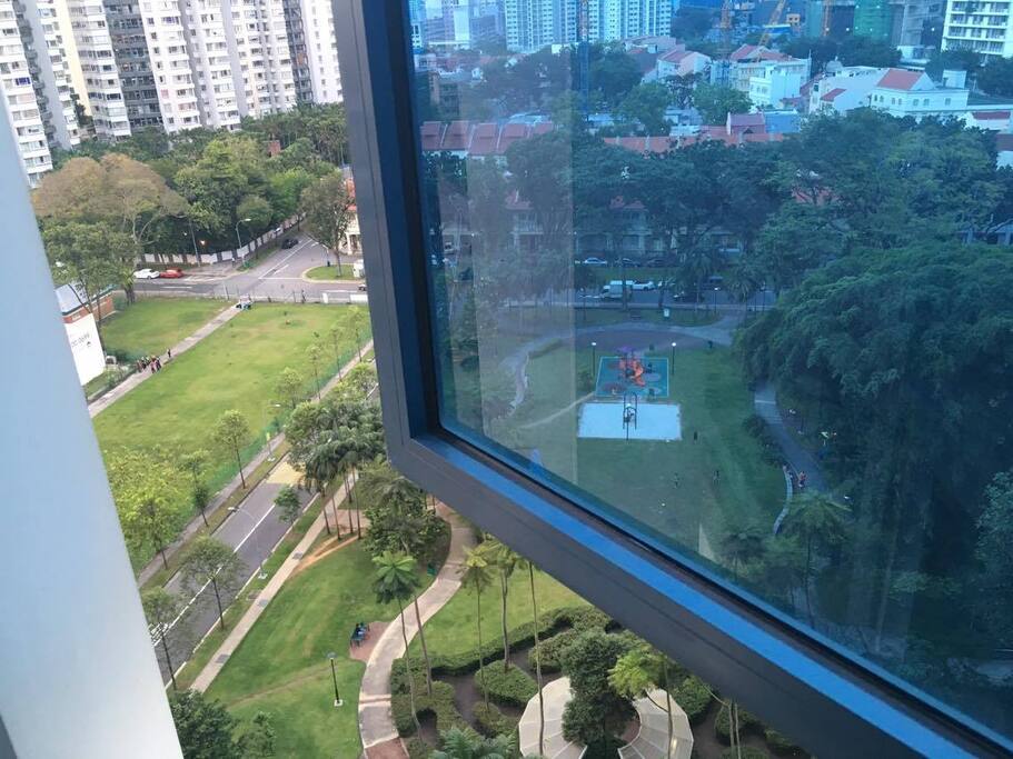 View from the room
