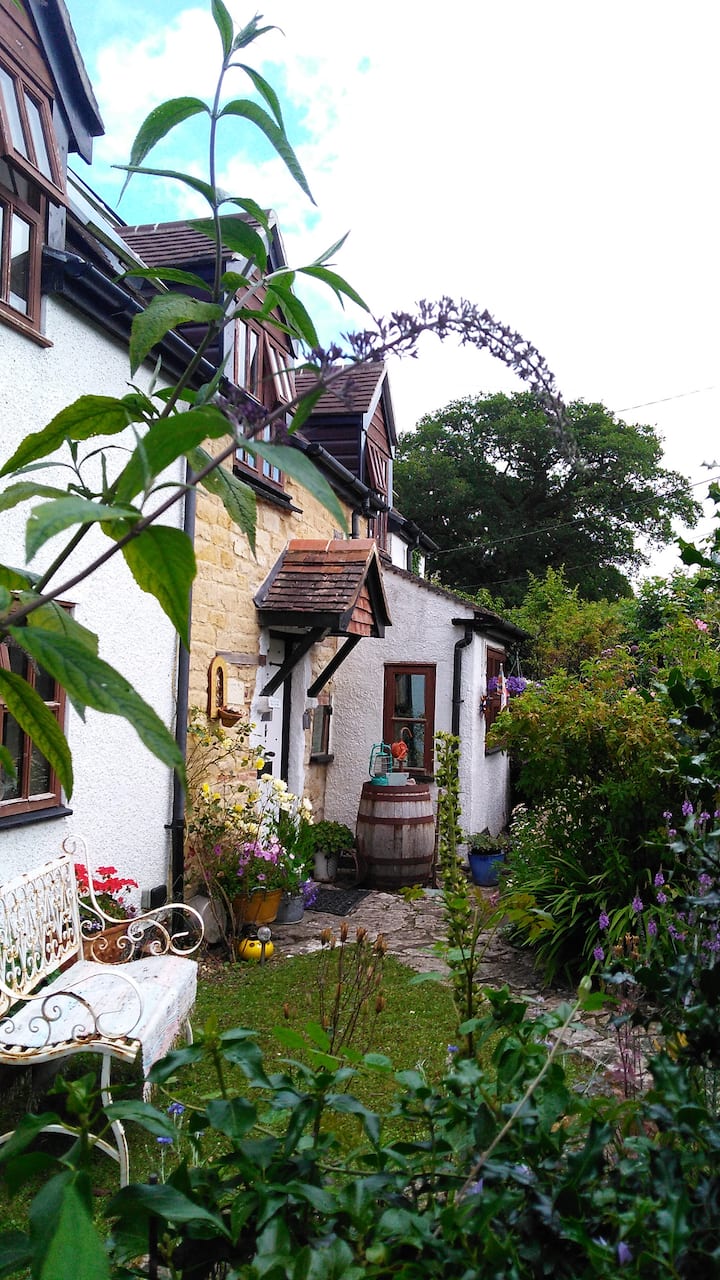 Bright Dorset ensuite room with countryside views Cottages for Rent