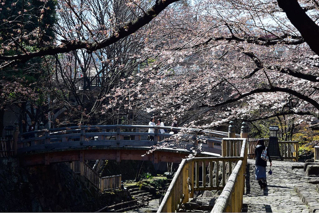 An 18-minue walk from the apartment,the Imperial Palace is the most popular sport for Sakura. Great place for Hanami.