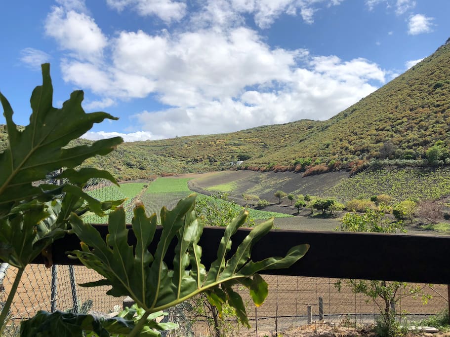 Garden with views