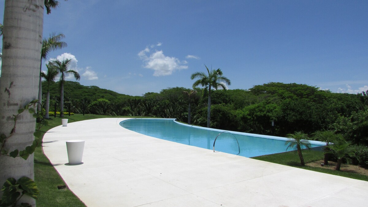 A large infinity pool is situated on a wide, flat patio, surrounded by verdant landscaping and palm trees. The clear blue water reflects the sky, creating a seamless connection with the natural surroundings. Soft, bright sunlight highlights the inviting space.