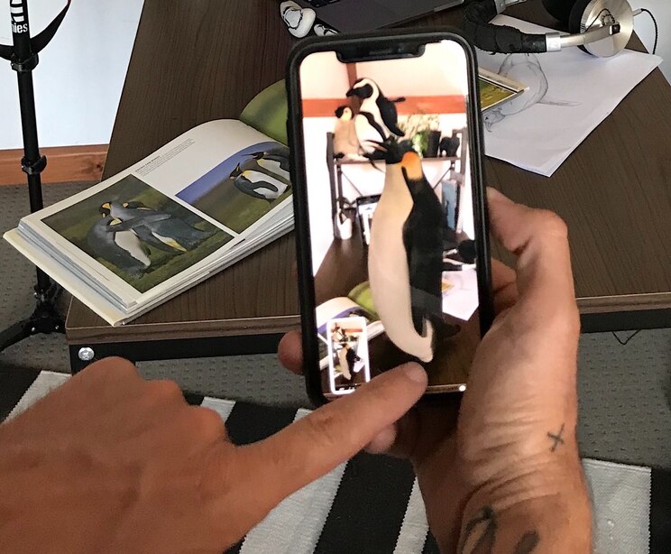 Show full-screen, host-provided image