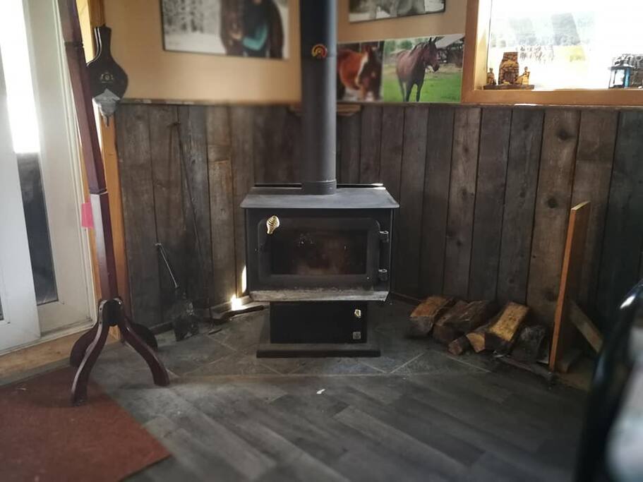 foyer pour froid d'hiver