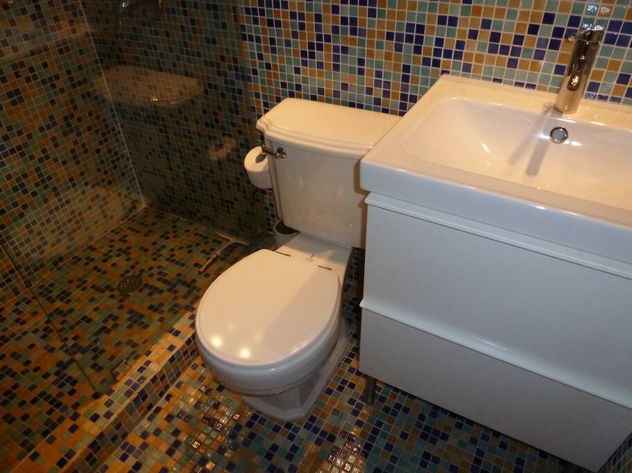 Bath w/ walk in shower.