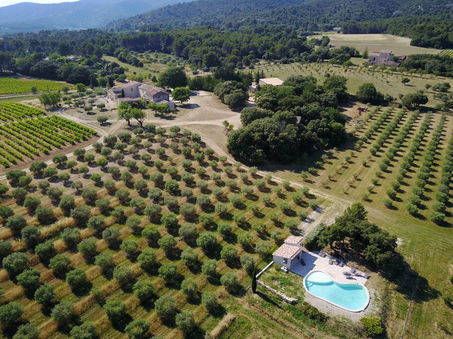 Le domaine