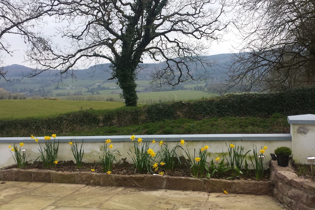 the view from the kitchen , looking down in to the Ballyhoura Valley.