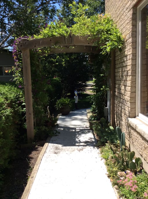 Pathway to lower level summer time