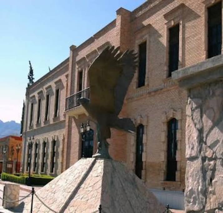 Museo de las Aves
