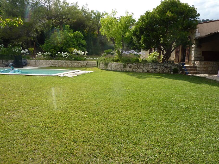 Pool and landscaped garden