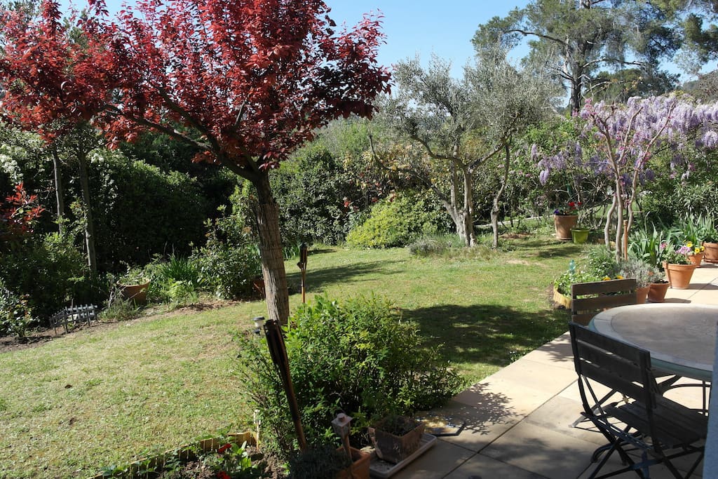 Garden/ Jardin