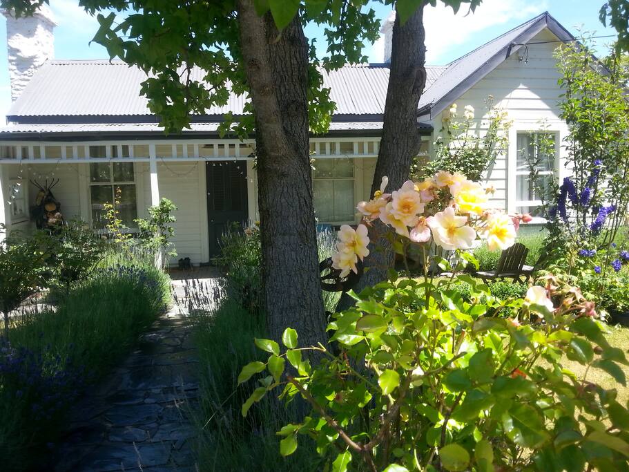 The many roses that make the cottage garden so beautiful
