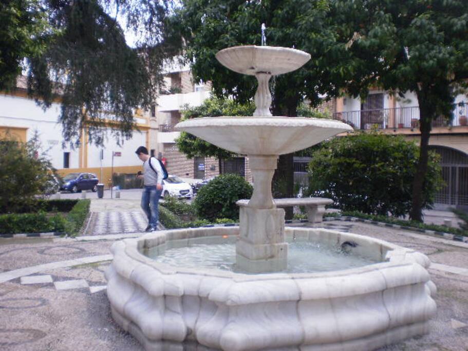 RINCONES CERCANOS