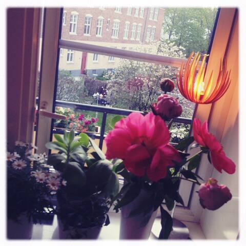 Adamstuen, Oslo gallery image 3