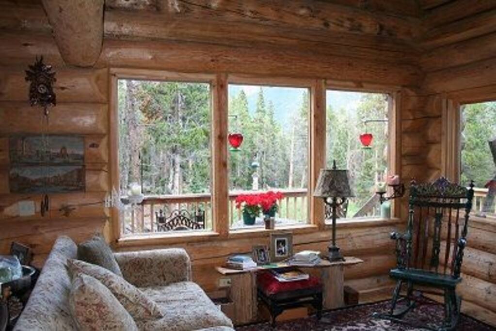 View from livingroom