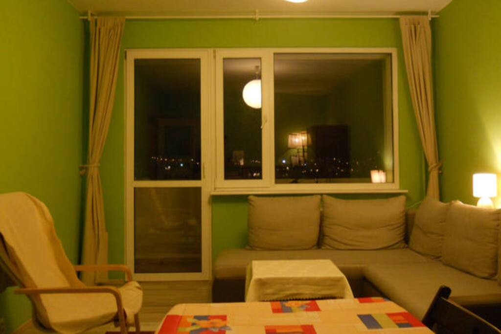 Large room. Sofa bed is comfortable for 2 persons.