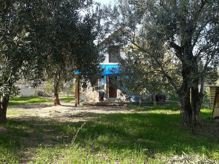 Sığacık Kiralık Tatil Evleri ve Evler İzmir, Türkiye Airbnb