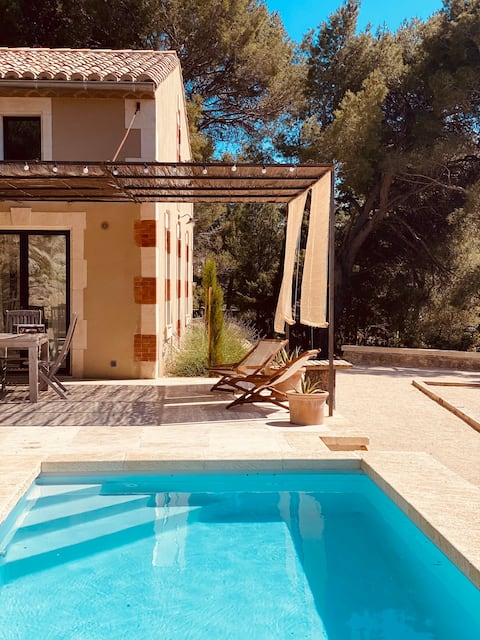 Maison en Provence with private pool, pine forest view