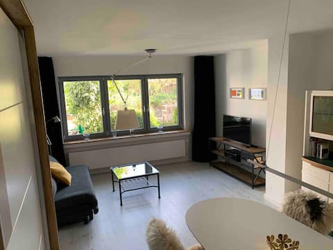 Top performing Airbnb: Vacation home on the Rhine in Langst