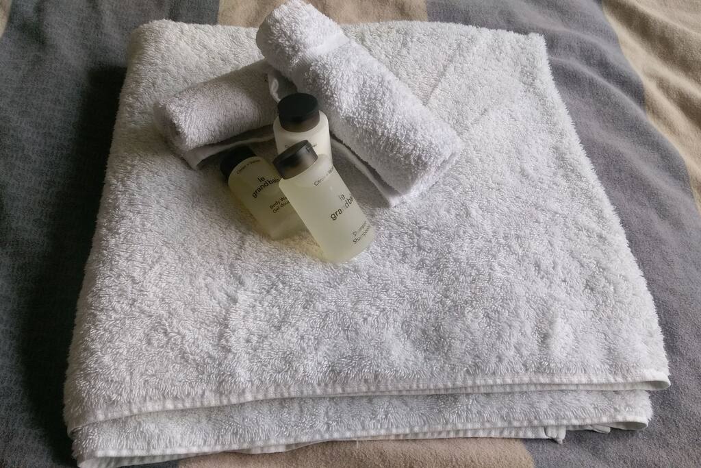 Falls du dein Duschgel und Shampoo vergisst haben wir welches Parat