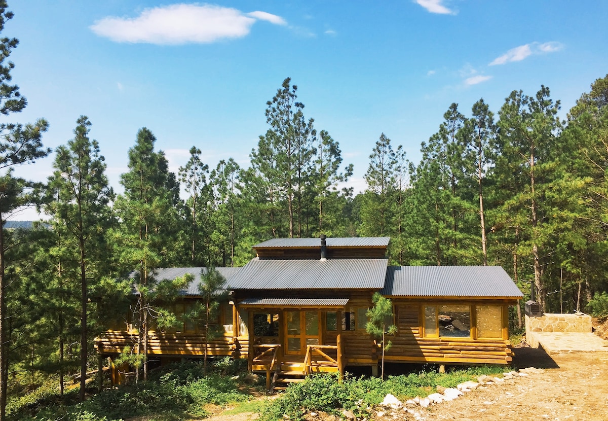A wooden cabin is framed by tall pine trees under a clear blue sky. The structure features a sloped metal roof, large windows, and a wraparound porch with wooden railings. Surrounding greenery adds to the sense of privacy and nature.
