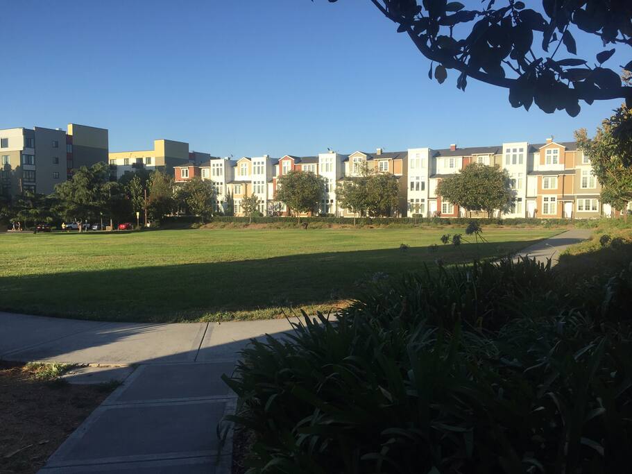 The beautiful park!