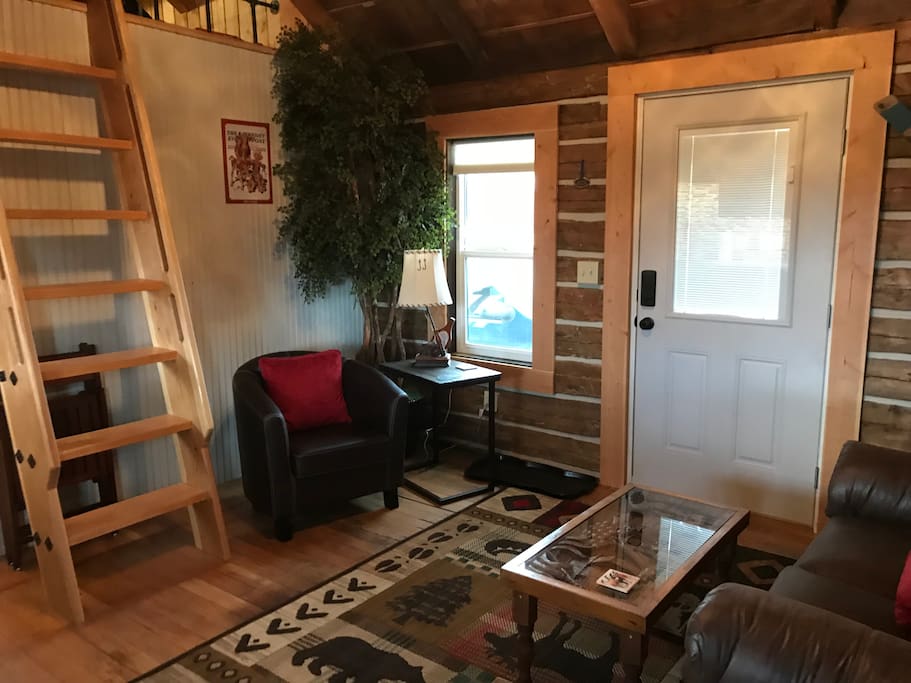 Living room with barrel chair and ladder to sleeping loft.