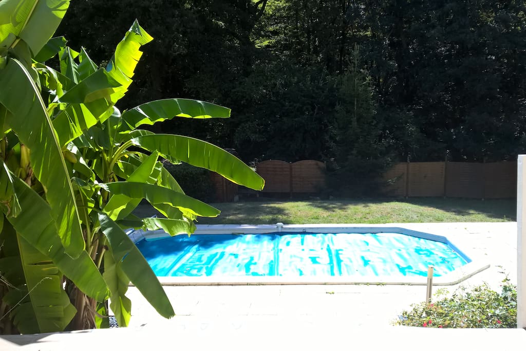 notre piscine