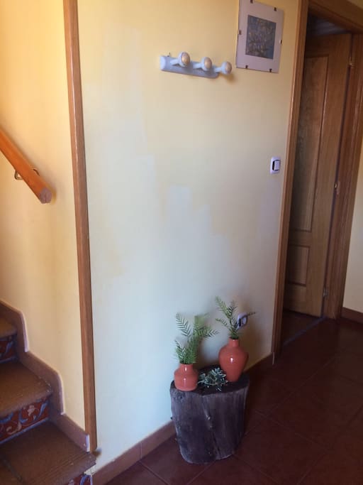 Plana 0- entrada a la casa + puerta con zona a lavadora