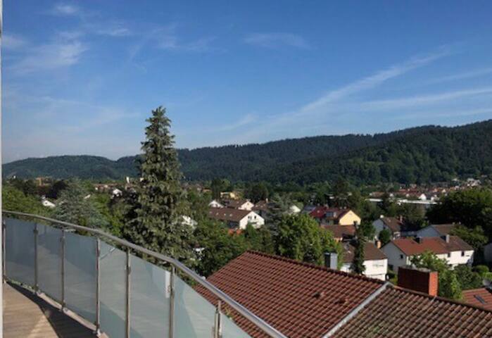 Freiburg, 1-room apartment, 2nd room optional