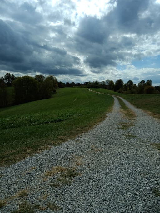 House is very secluded--no traffic