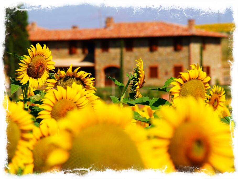 fontegiarsole