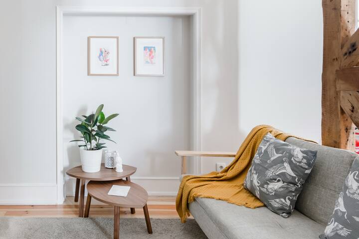 V-Renovated Flat in the Historical Center with a Castle View