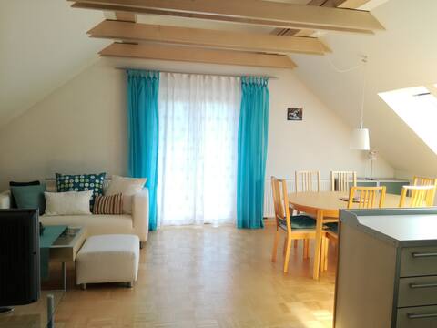 Apartma Luna
